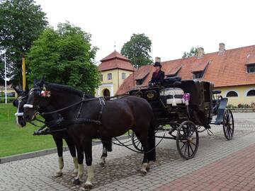 Фото Отель Šlokenbekas Muiža г. Milzkalne 3